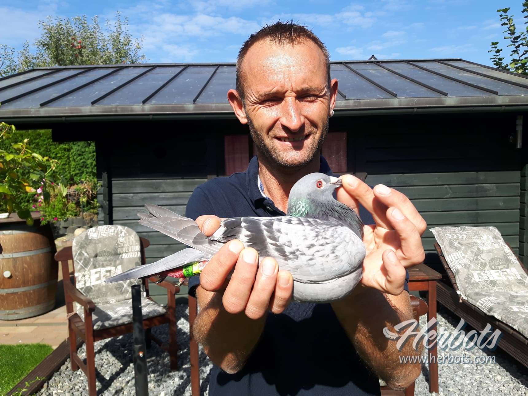 THE POWER OF THE ELKEMANN BIRDS