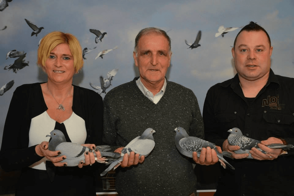 Verreckt-Rutten-Deplae (Tessenderlo, BE), the Golden Pigeon Loft!