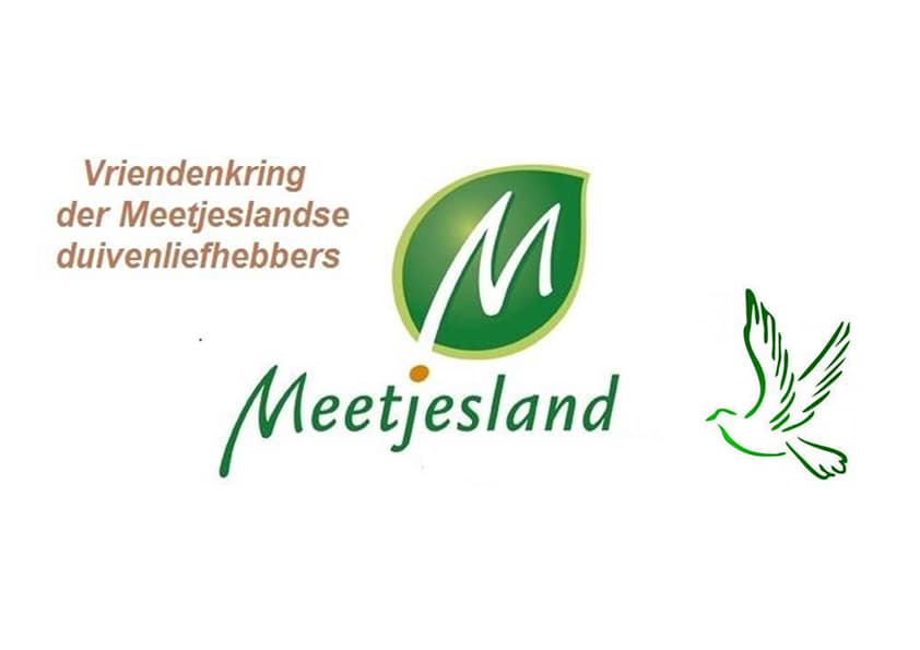 Definitieve uitslag kampioenschappen Meetjesland 2025