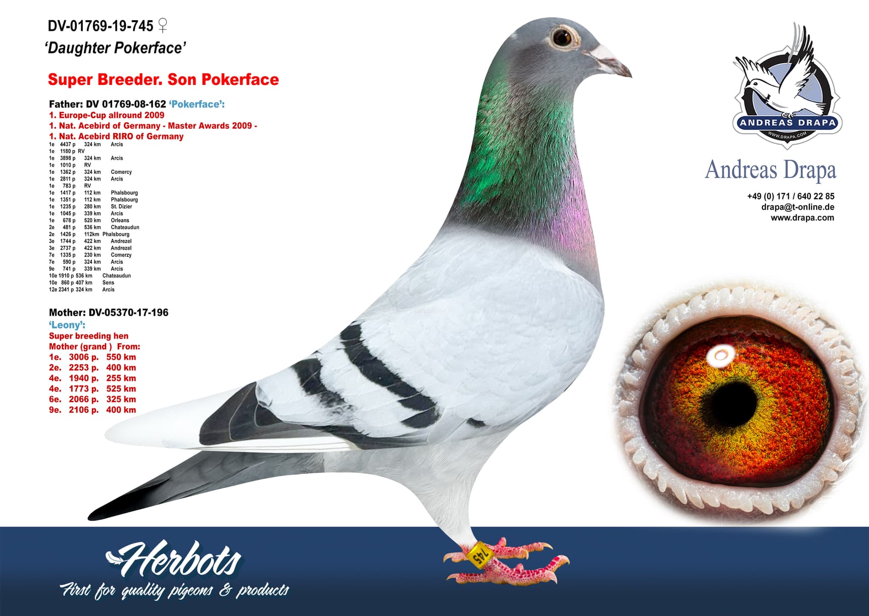pigeon: undefined