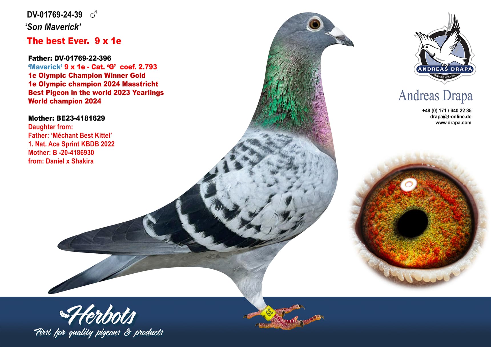 pigeon: undefined