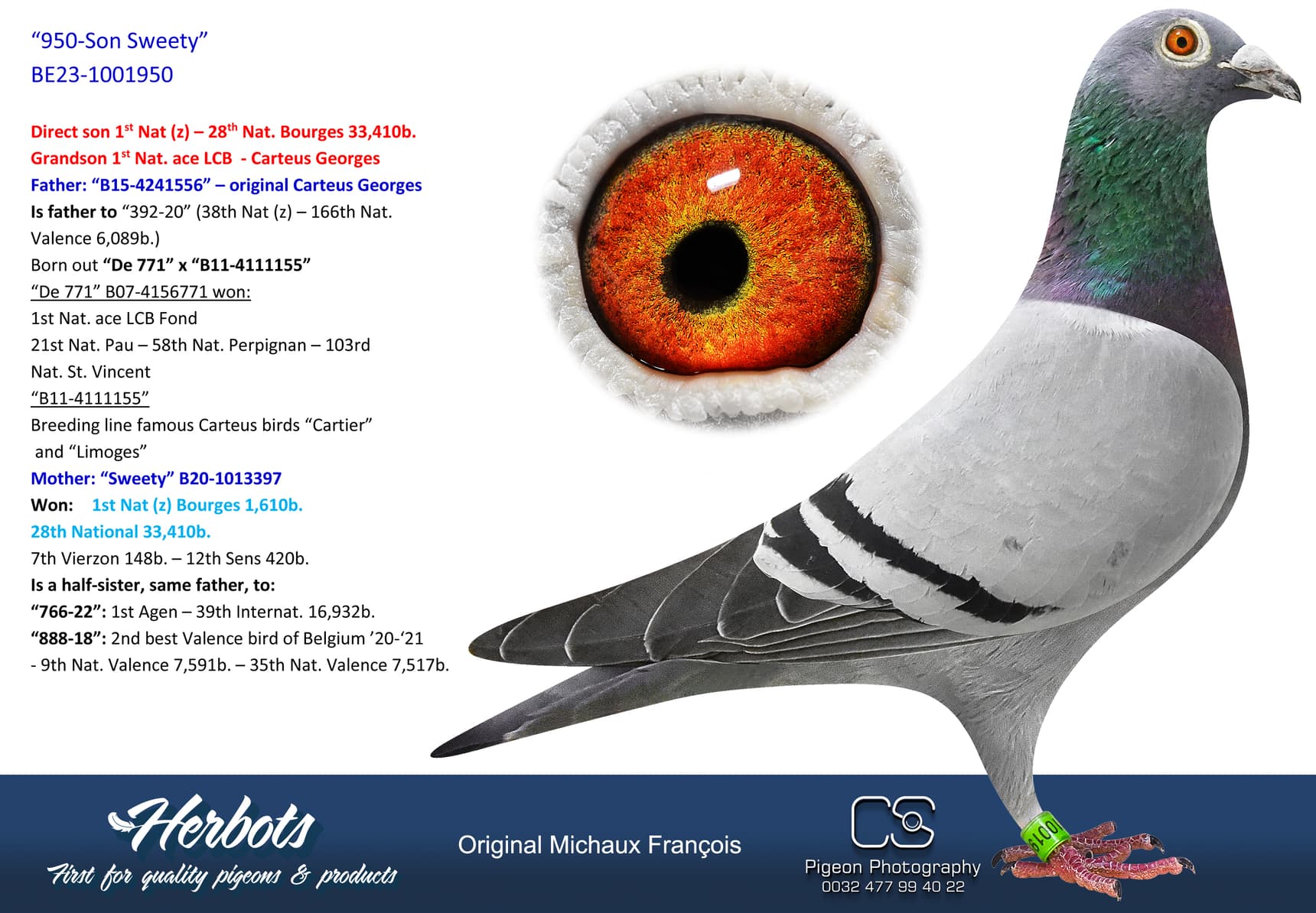 pigeon: undefined