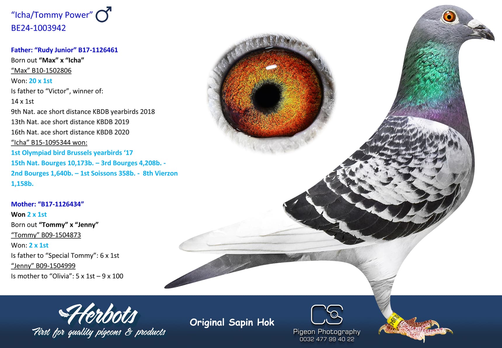 pigeon: undefined