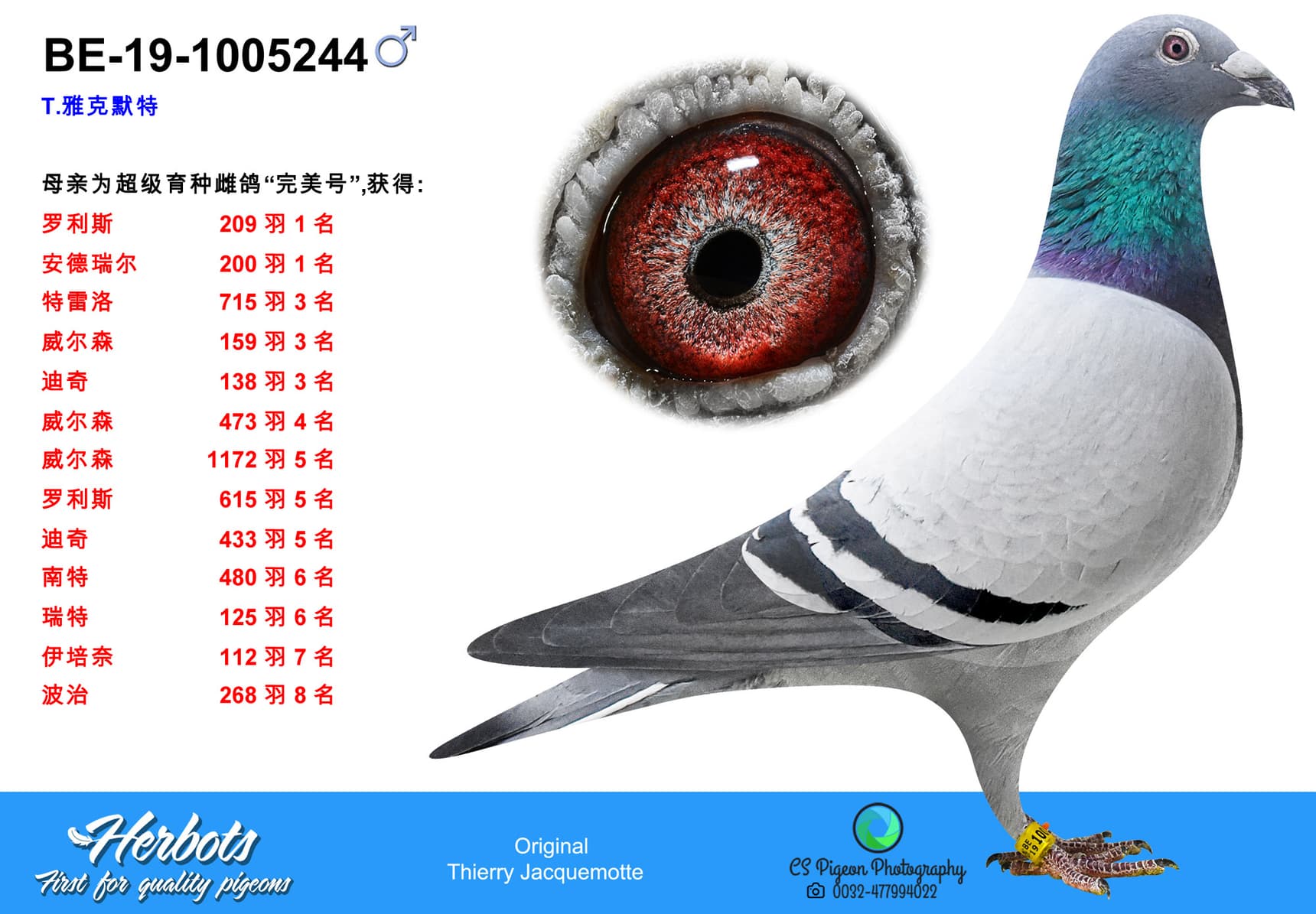 pigeon: undefined