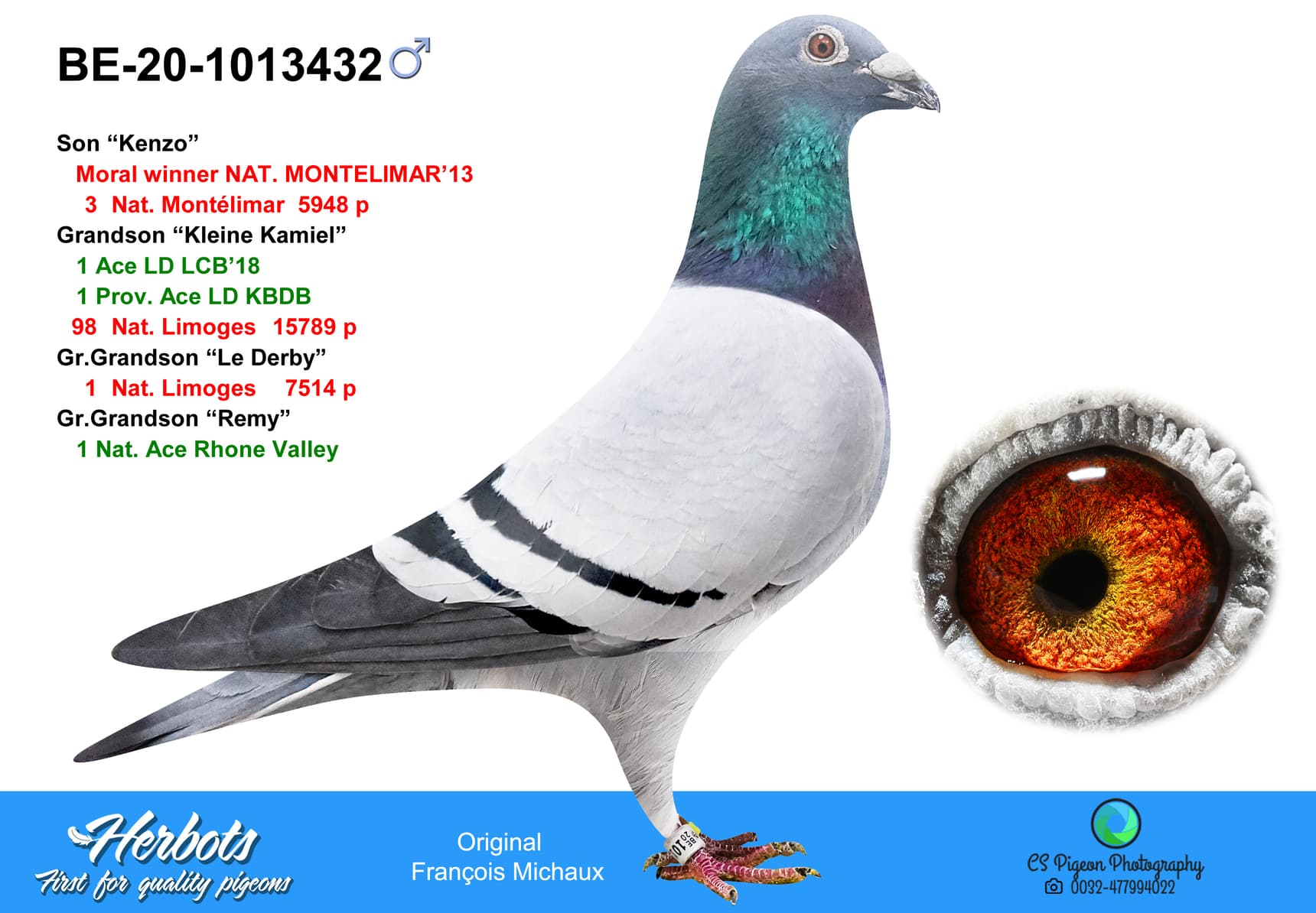 pigeon: undefined