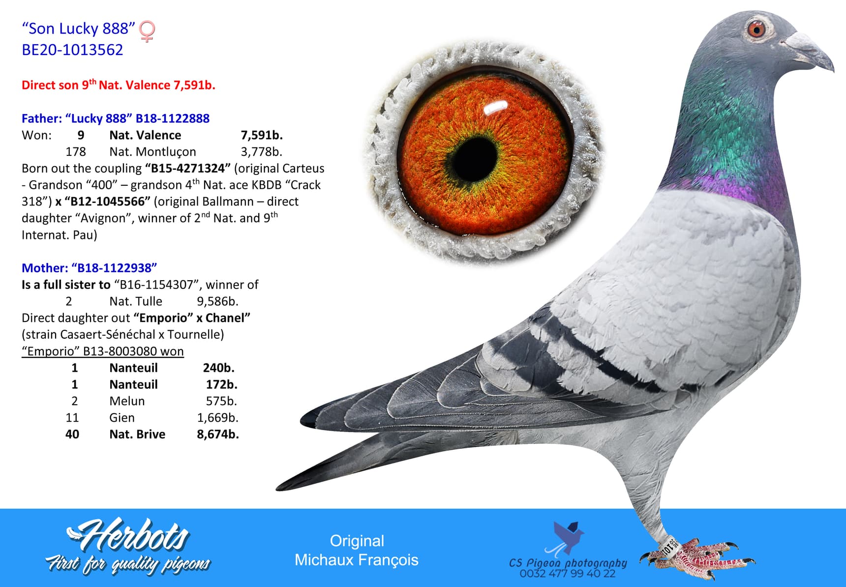 pigeon: undefined