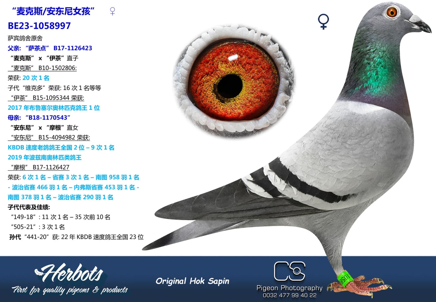 pigeon: undefined