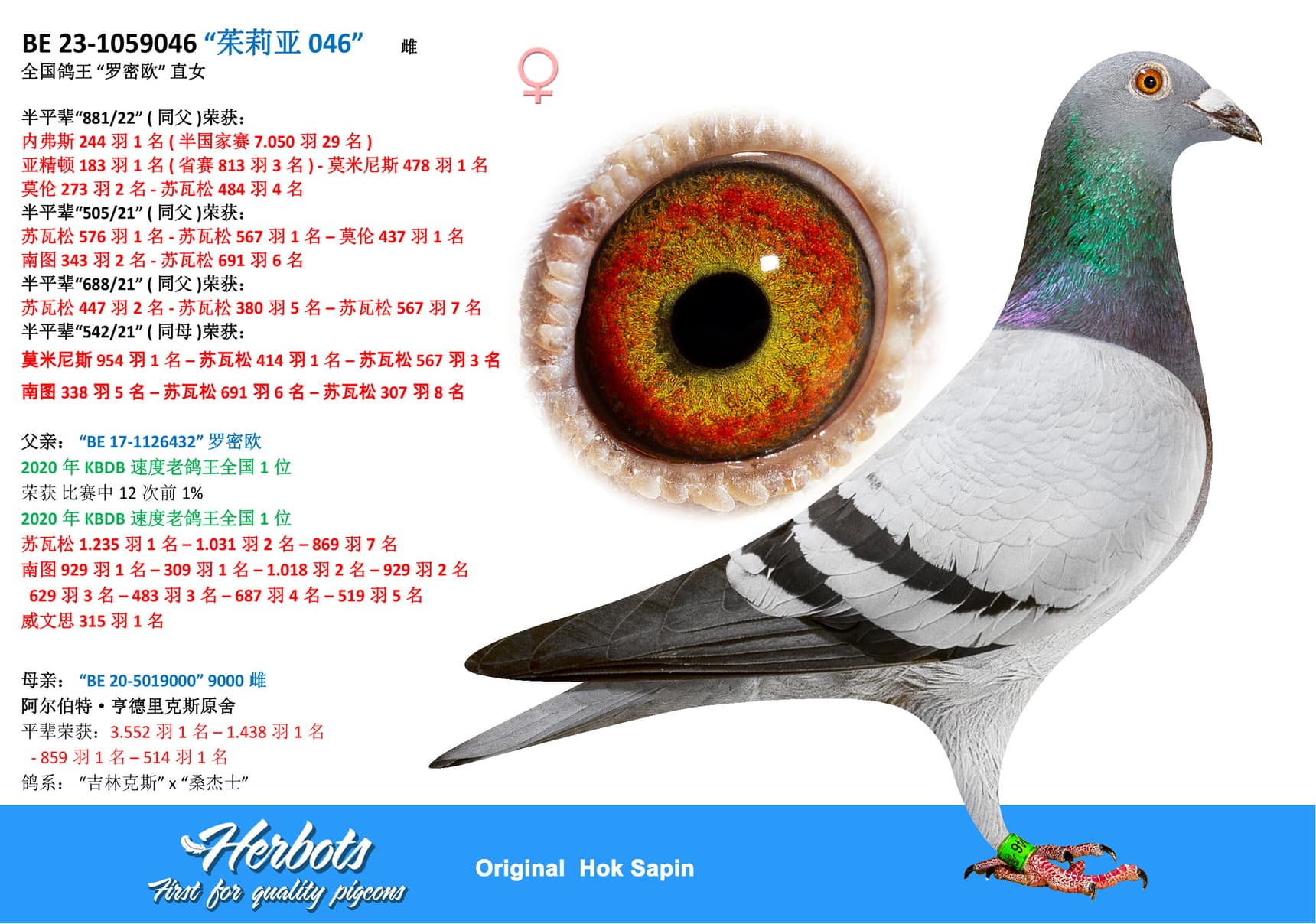 pigeon: “茱莉亚 046”