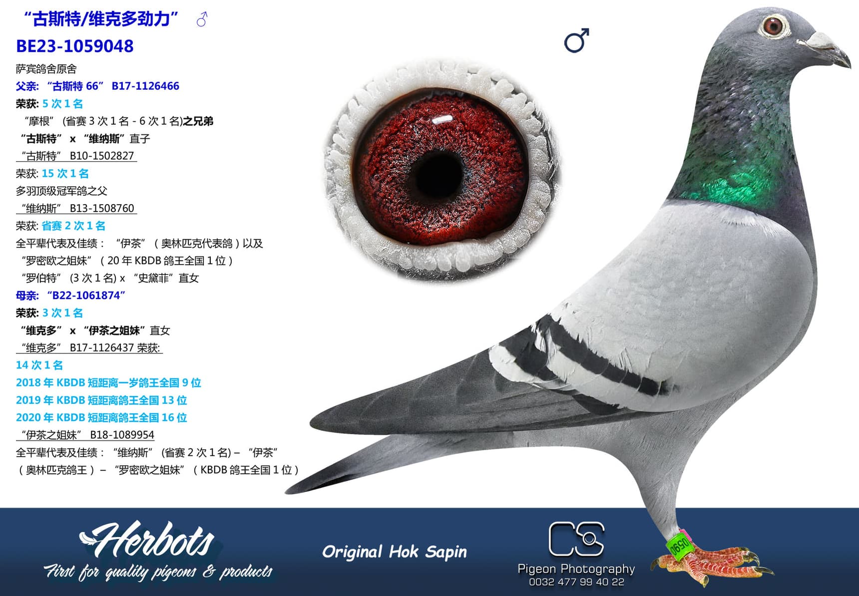 pigeon: undefined