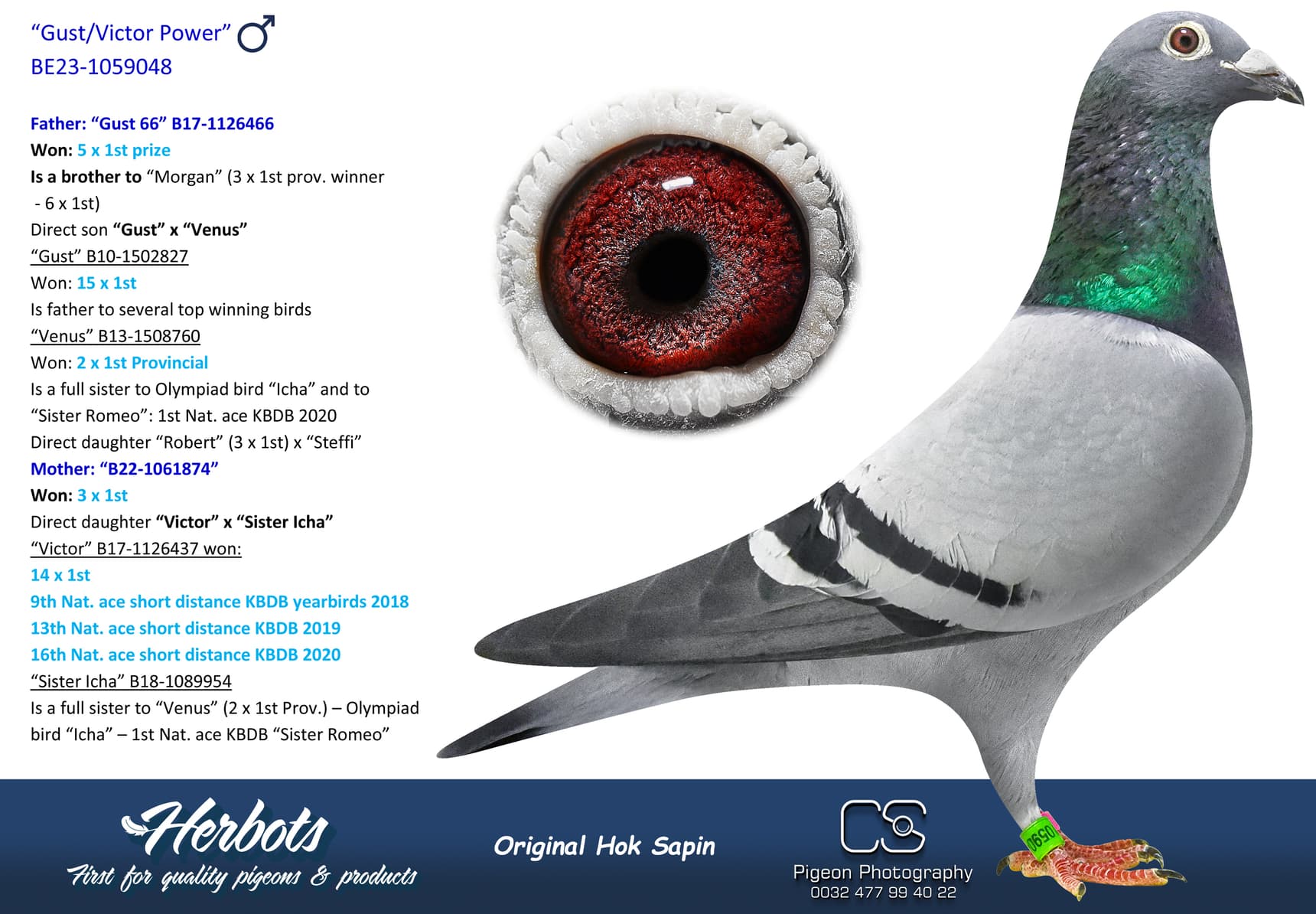 pigeon: undefined