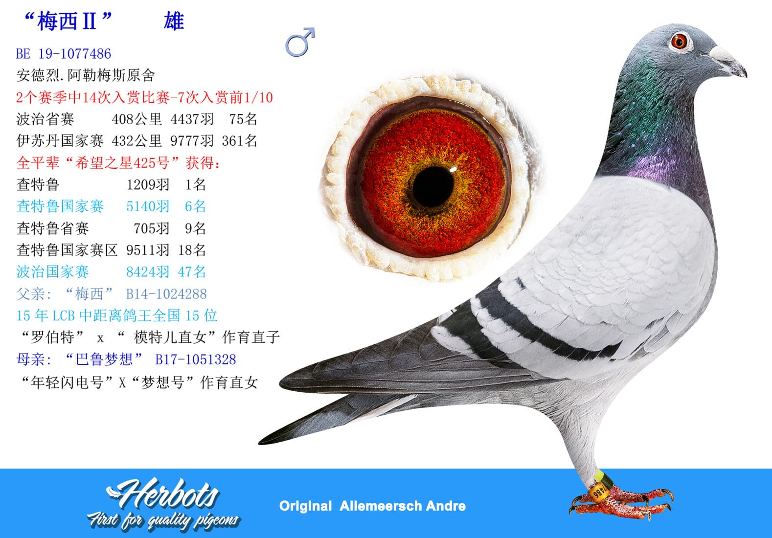 pigeon: undefined