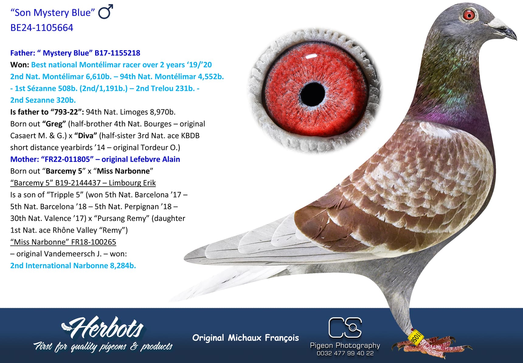 pigeon: undefined
