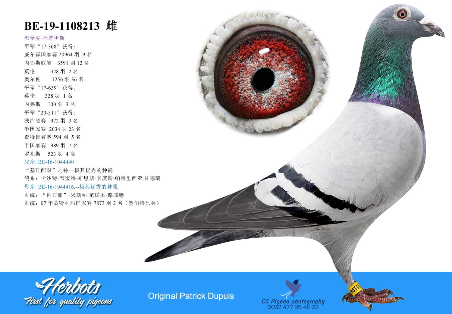 pigeon: undefined