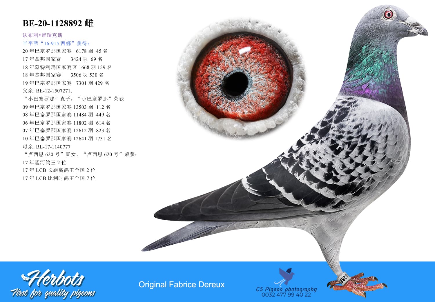 pigeon: undefined