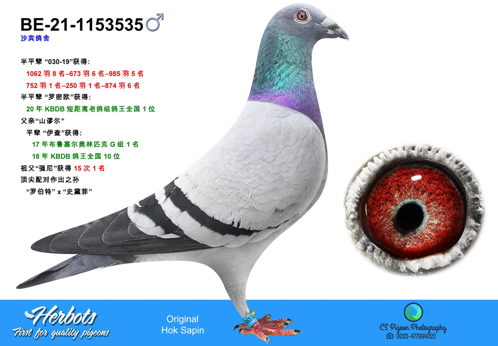 pigeon: Son Samuel