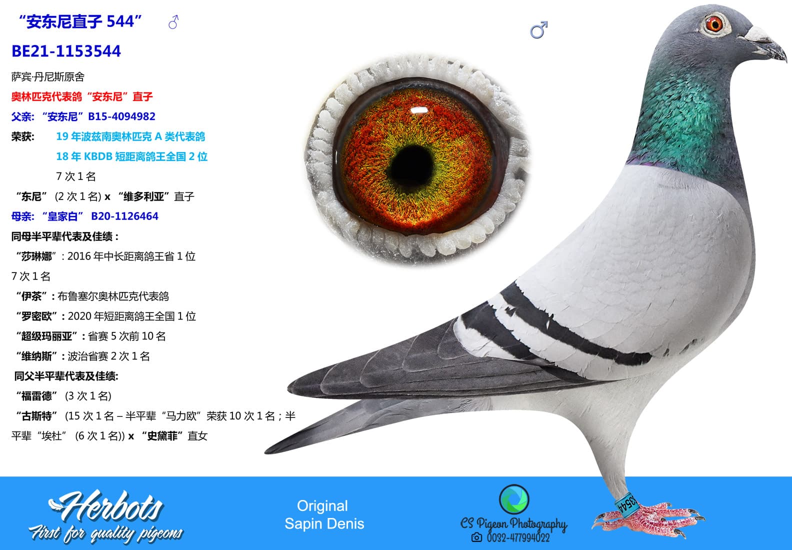 pigeon: undefined