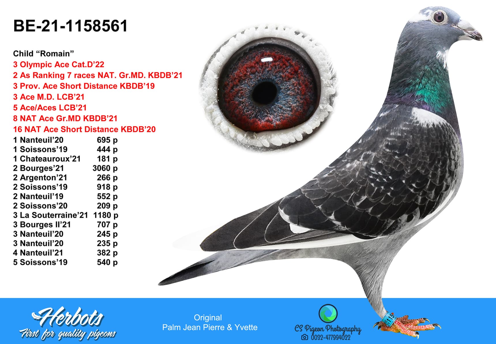pigeon: undefined