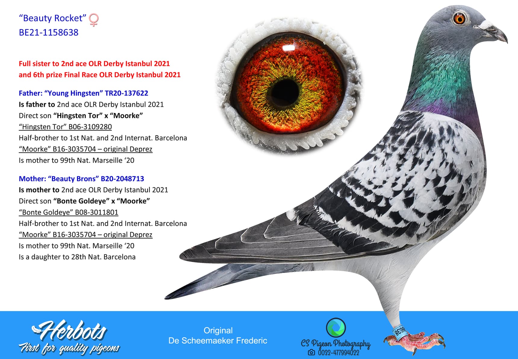 pigeon: undefined