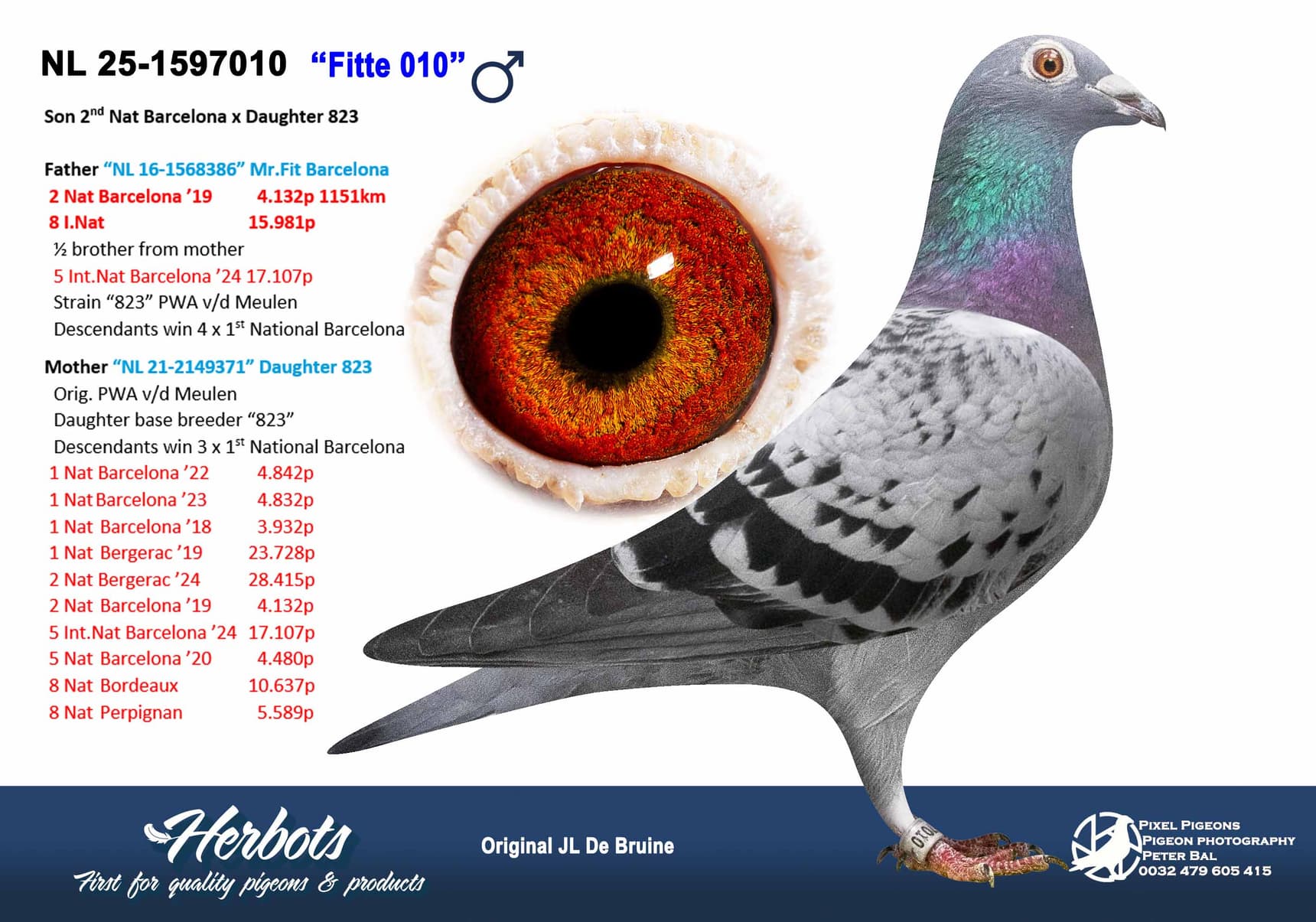 pigeon: undefined
