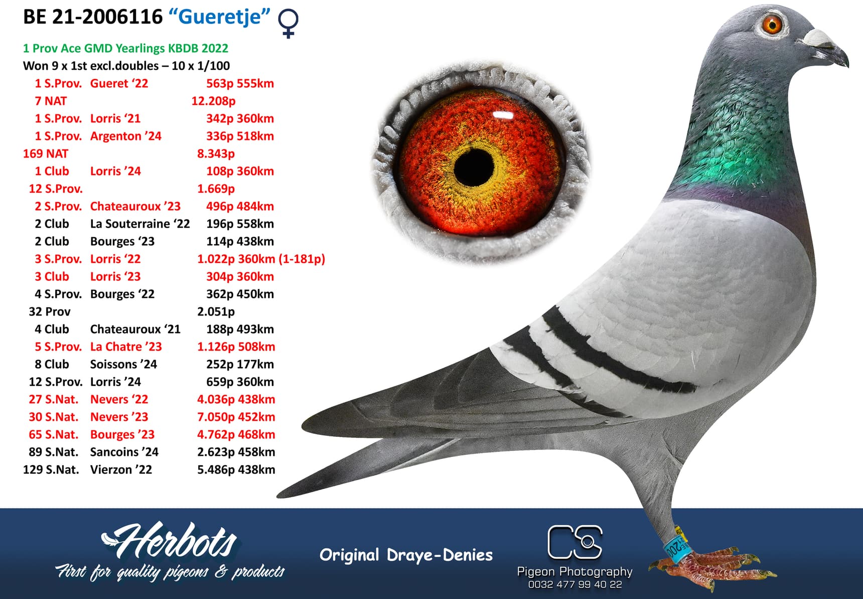 pigeon: undefined