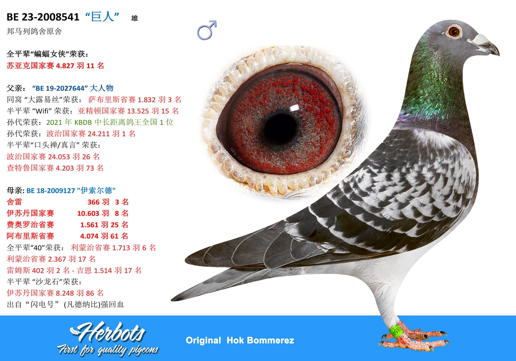 pigeon: undefined