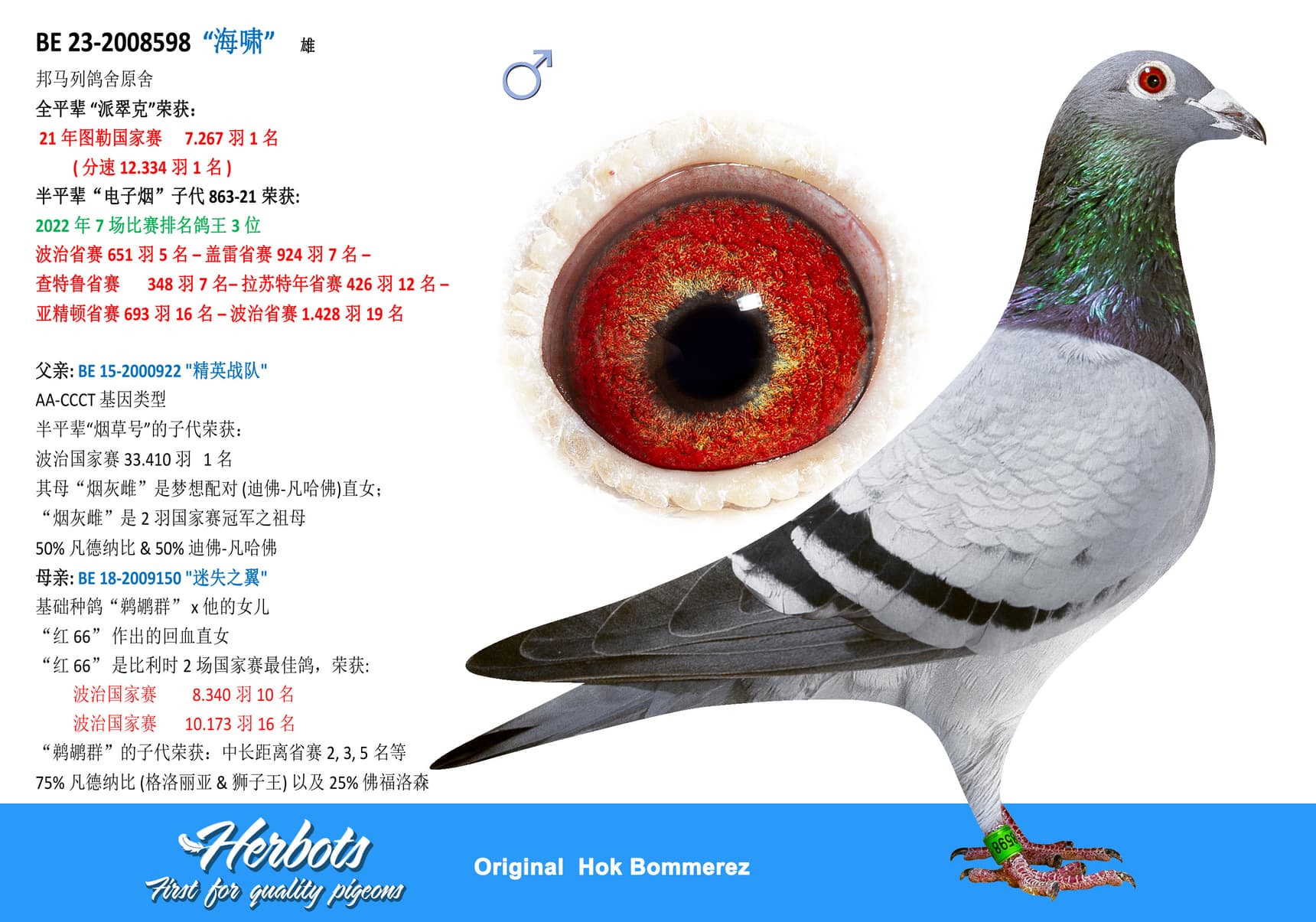 pigeon: undefined