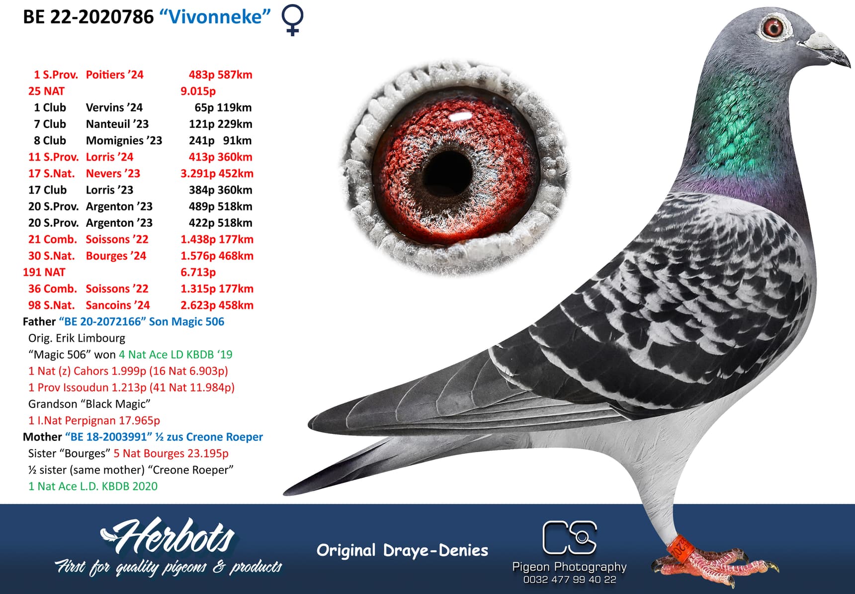 pigeon: undefined