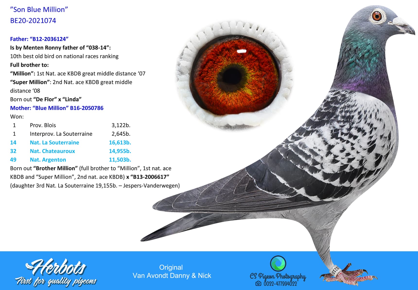 pigeon: undefined