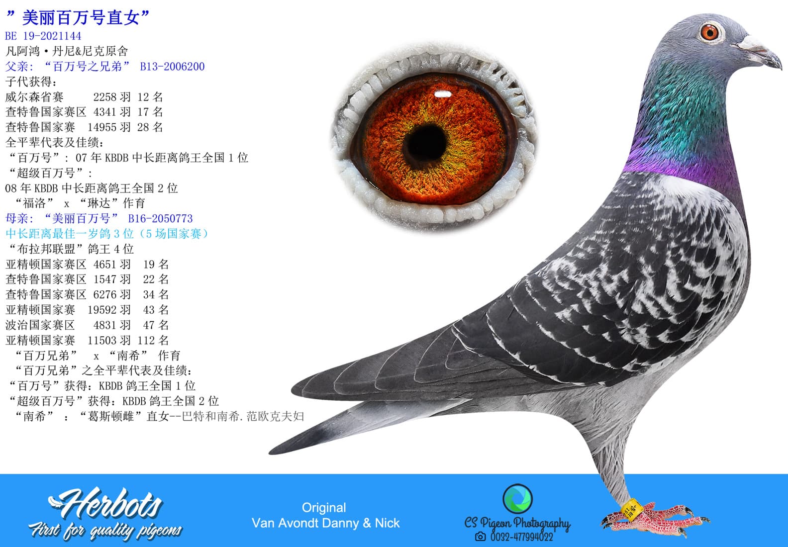 pigeon: undefined