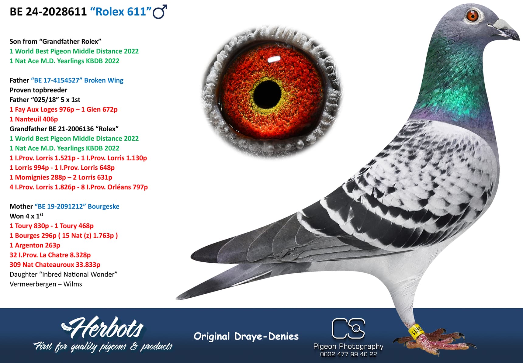 pigeon: undefined