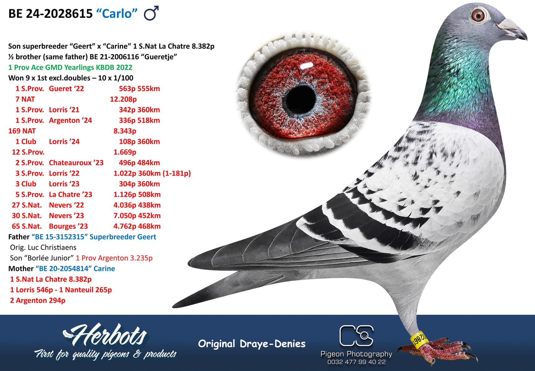 pigeon: undefined