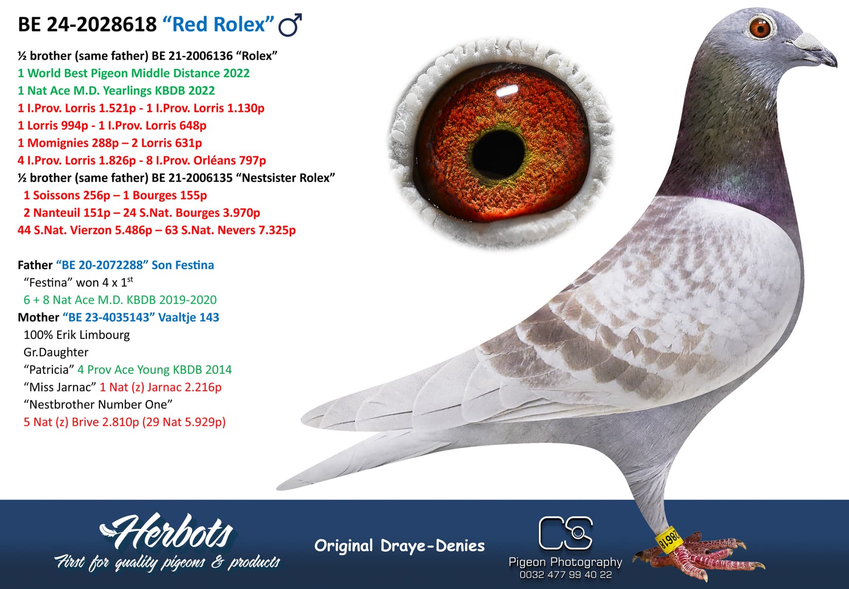 pigeon: undefined