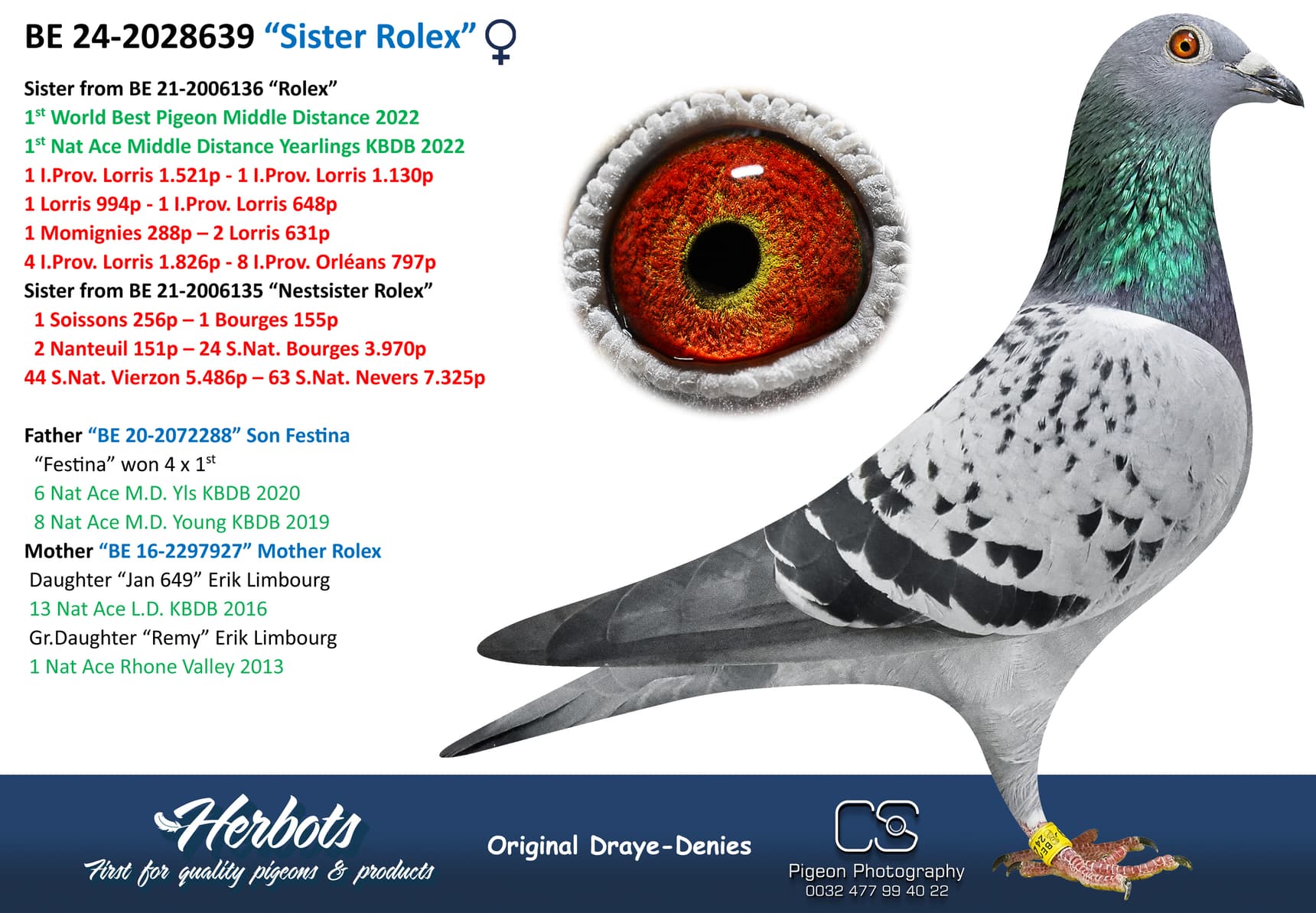 pigeon: undefined