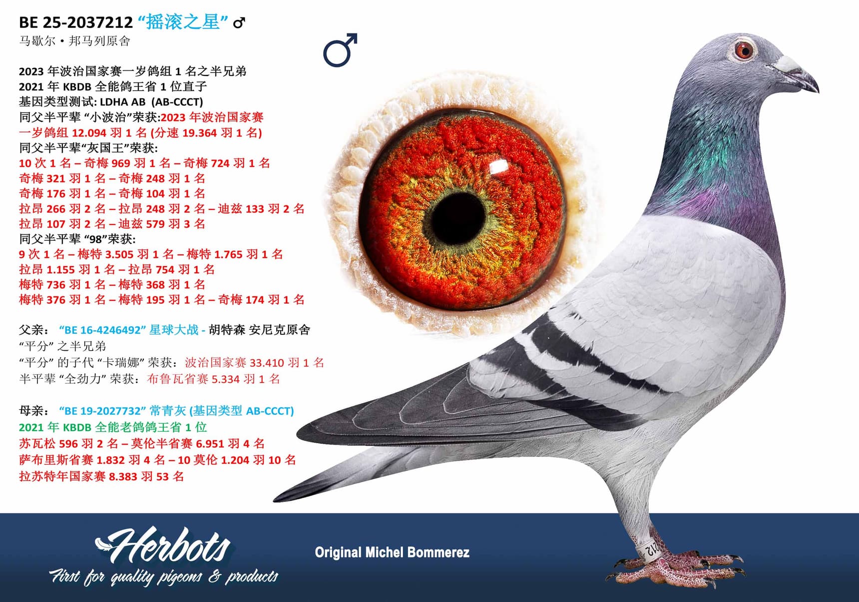 pigeon: undefined