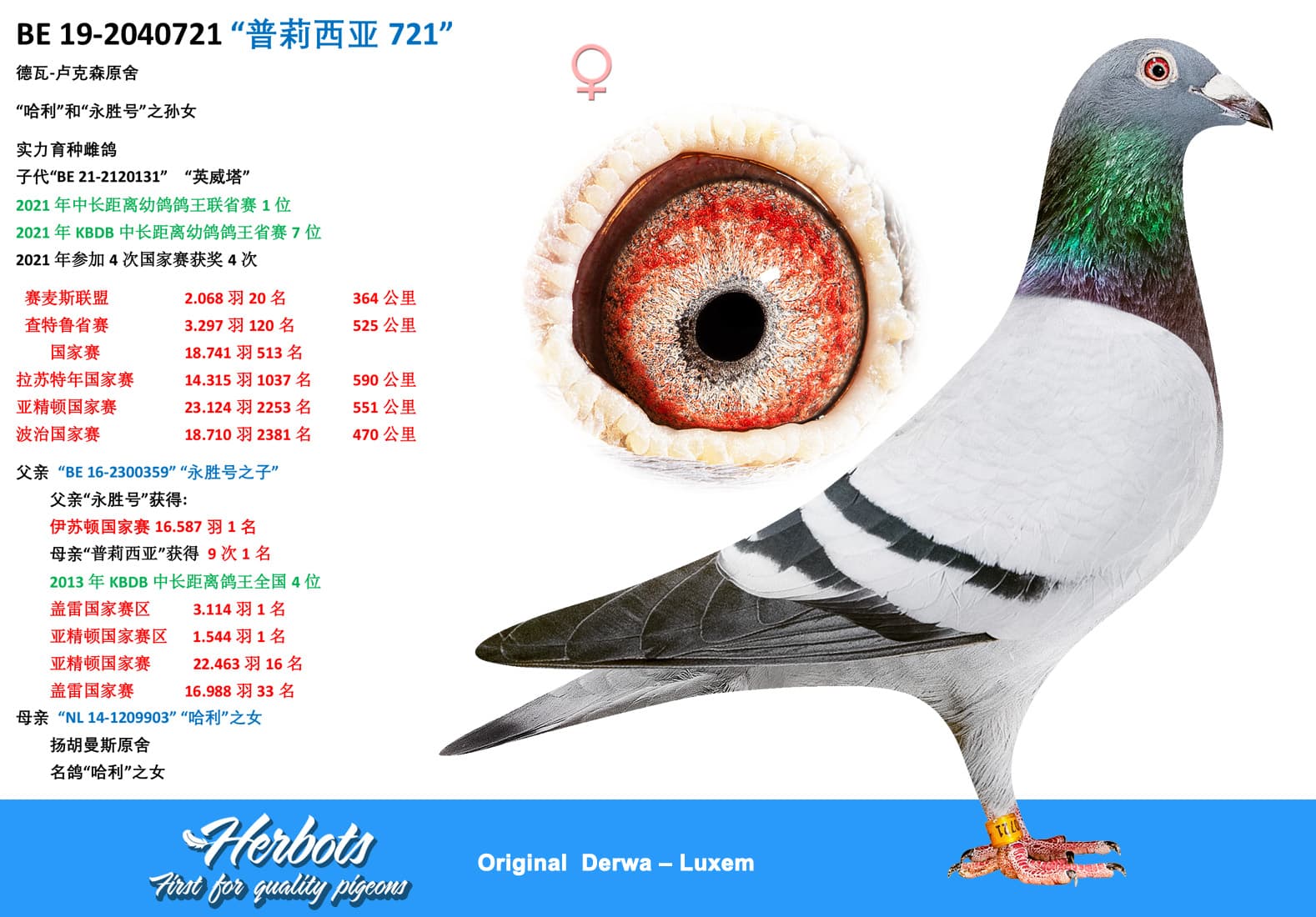 pigeon: undefined