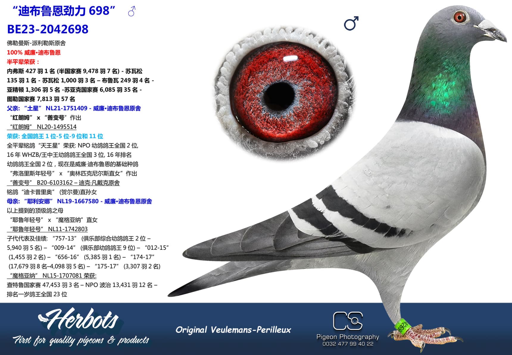 pigeon: undefined