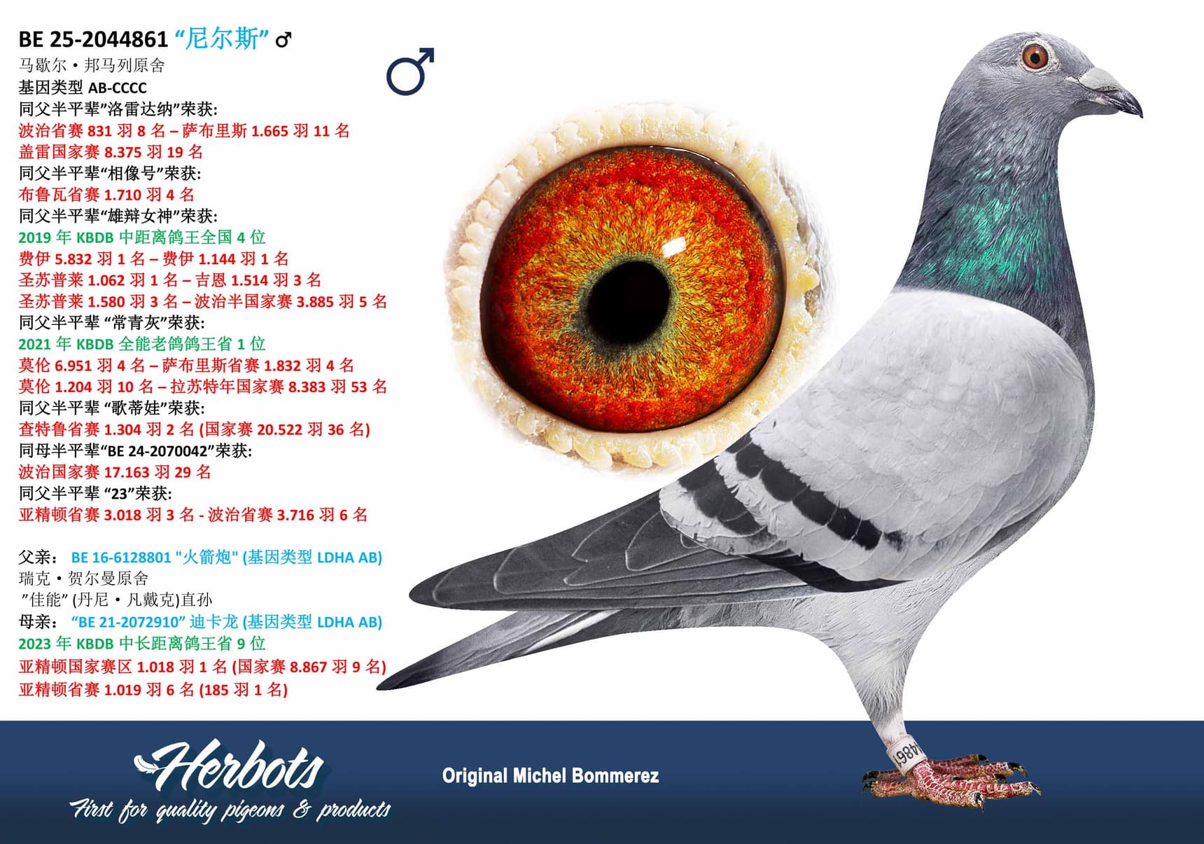 pigeon: undefined
