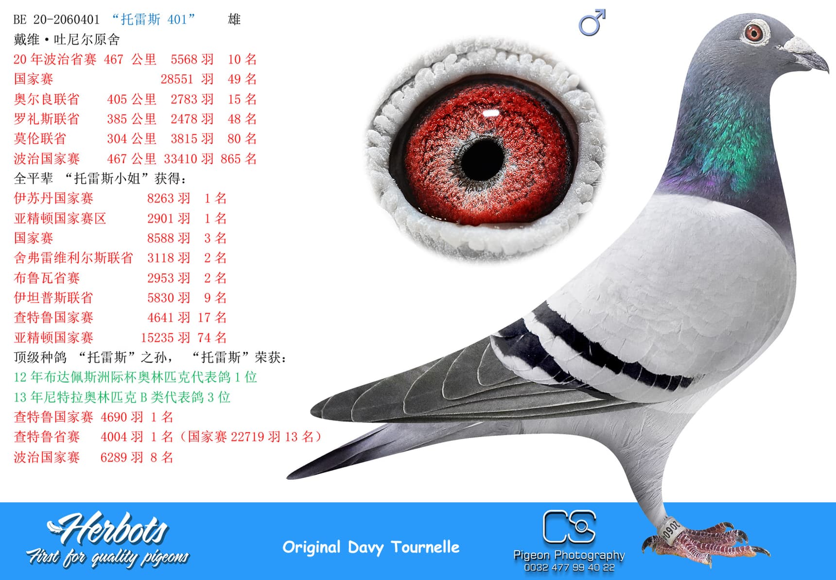 pigeon: undefined