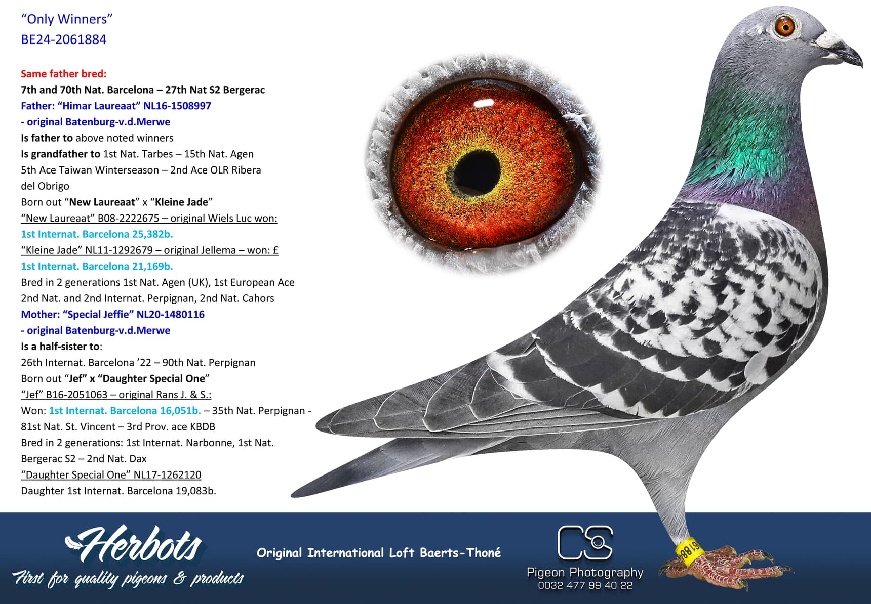 pigeon: undefined