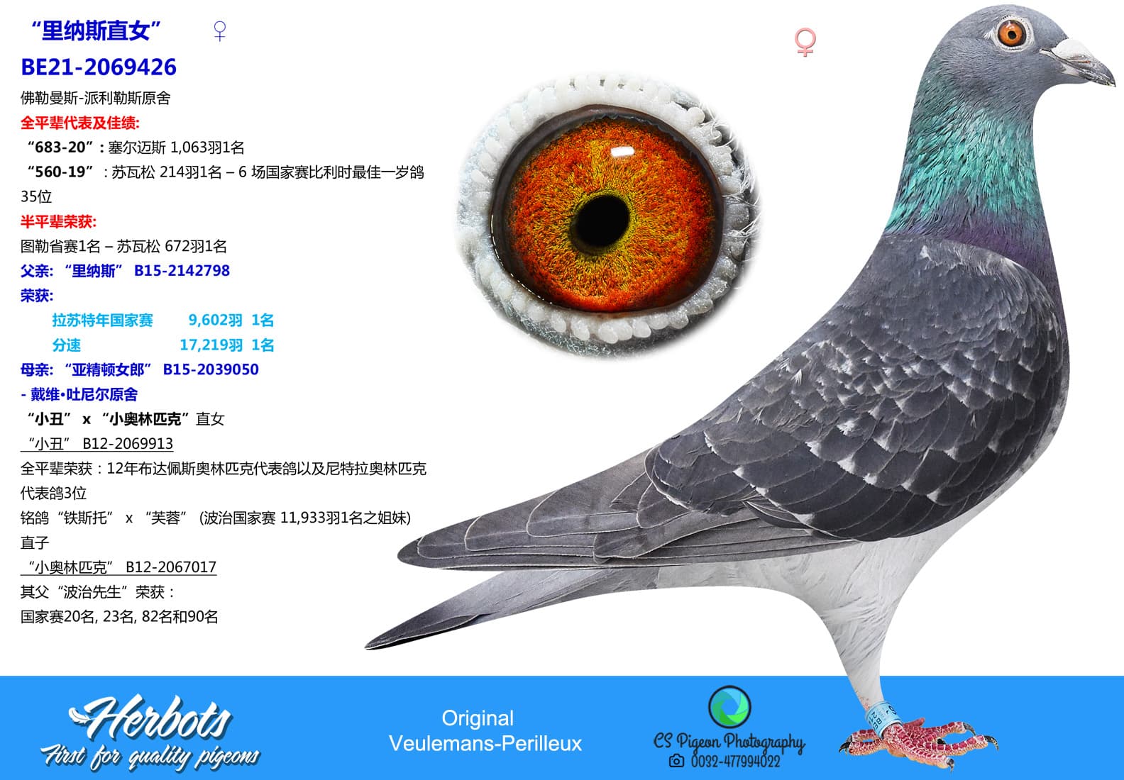 pigeon: undefined