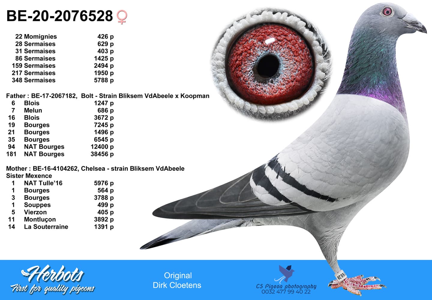 pigeon: undefined