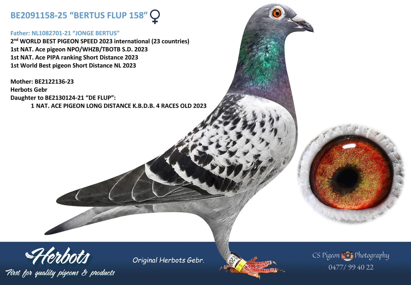 “BERTUS FLUP 158”