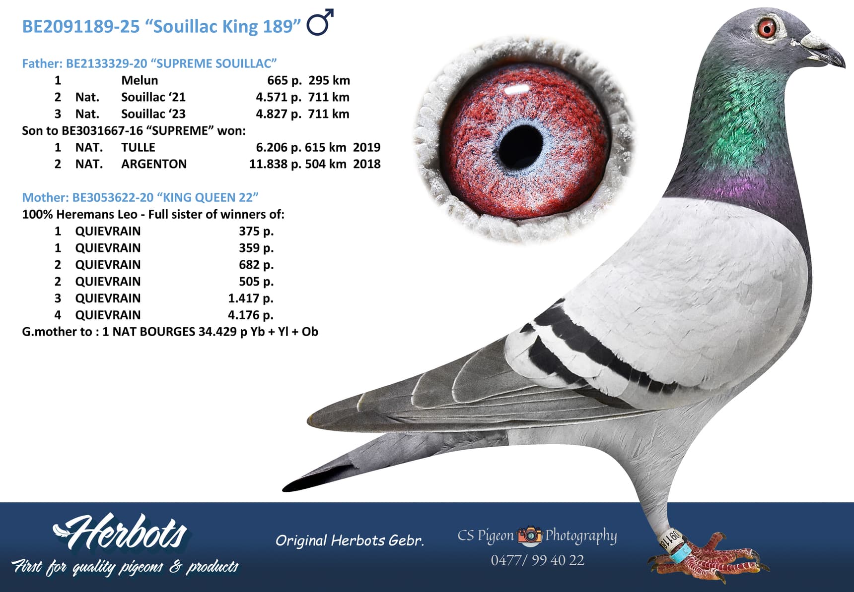 “SOUILLAC KING 189”