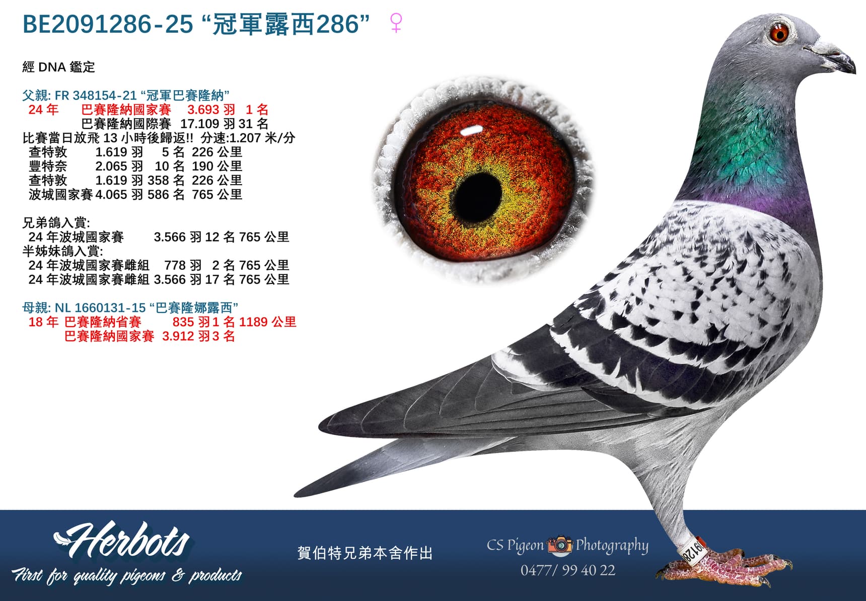 “冠軍露西286”