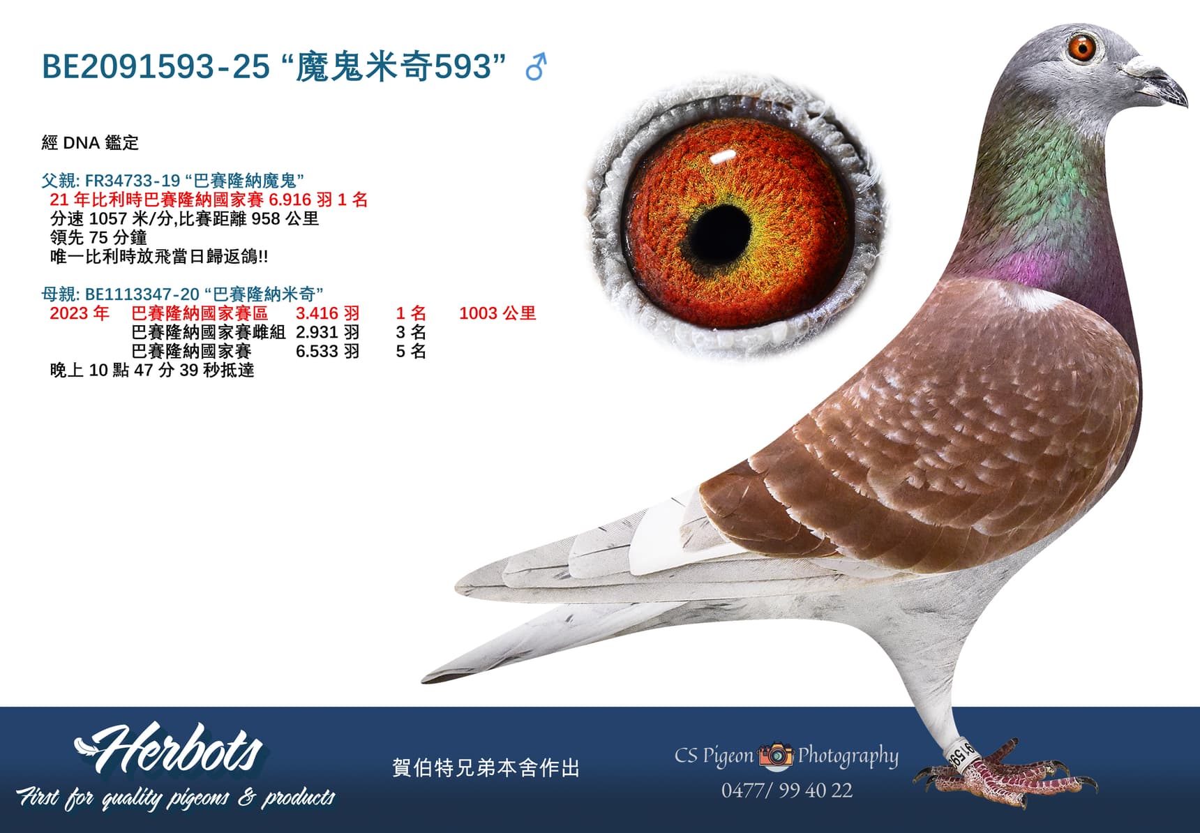 “魔鬼米奇593”