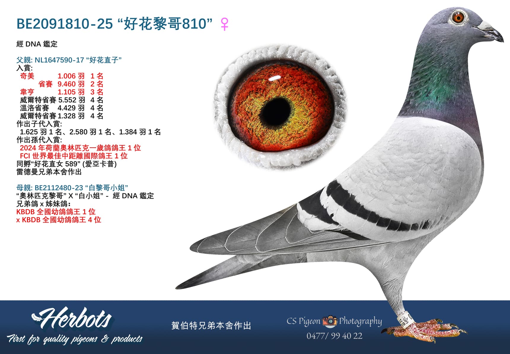 “好花黎哥810”