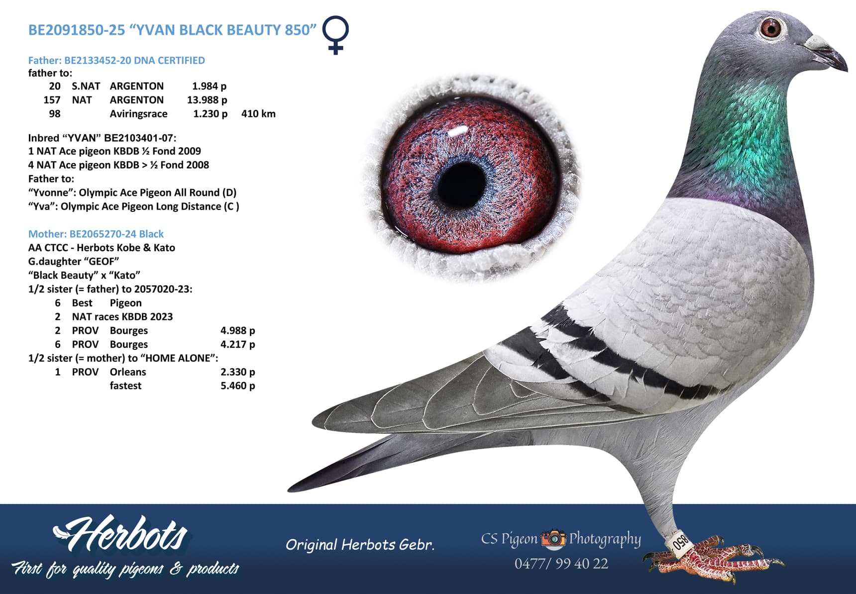 “YVAN BLACK BEAUTY 850”