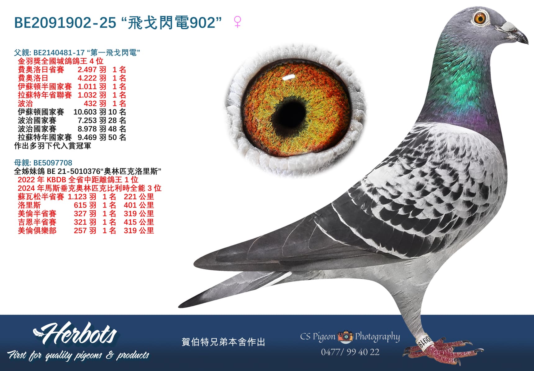 “飛戈閃電902”