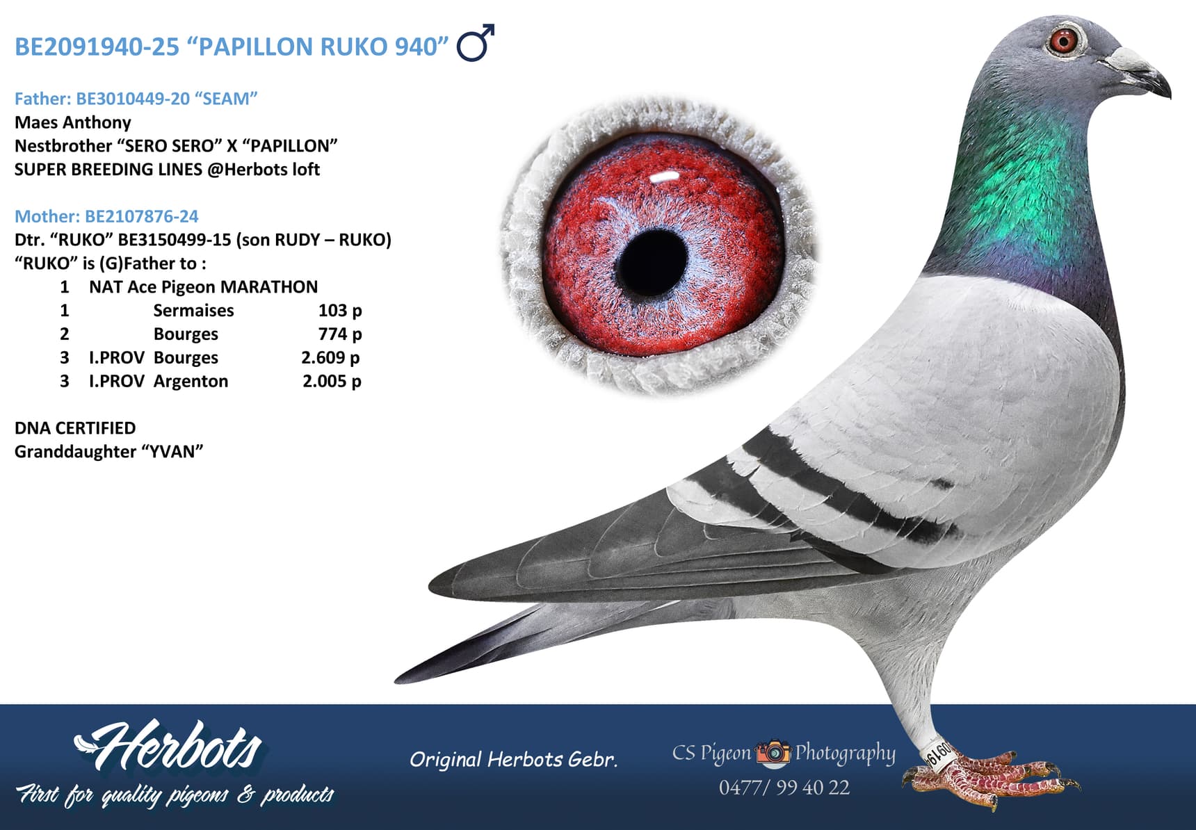 “PAPILLON RUKO 940”