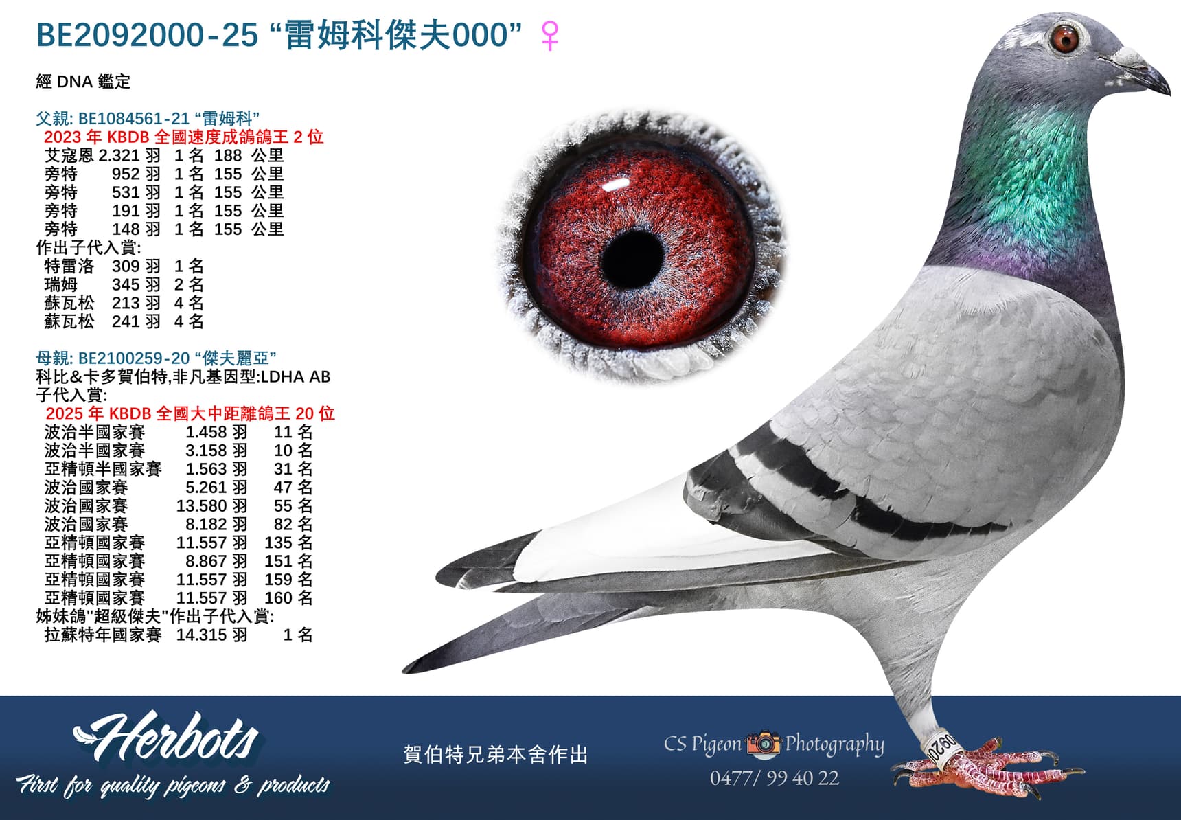 “雷姆科傑夫000”